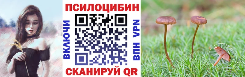 Галлюциногенные грибы Cubensis  цена   сайты даркнета как зайти  Электрогорск 