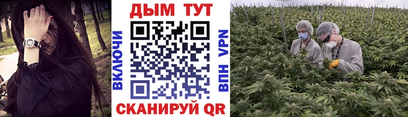 Шишки марихуана сатива  kraken ССЫЛКА  дарк нет состав  Электрогорск 